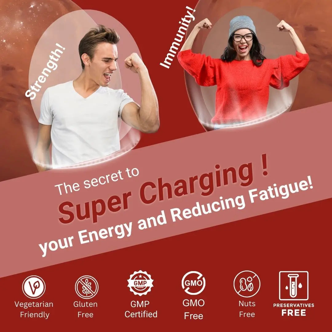 iron ferrous bisglycinate supplements 