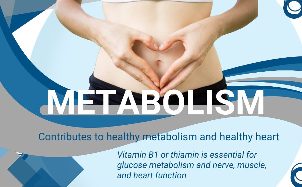 Thiamine 100mg Vitamin B1 100 Tablets