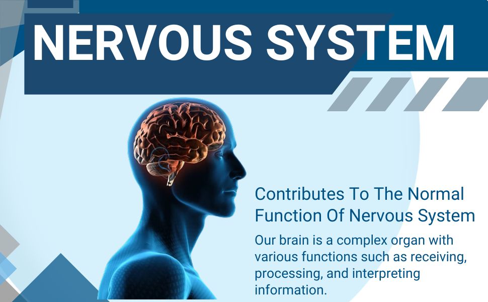 Thiamine 100mg Vitamin B1 100 Tablets